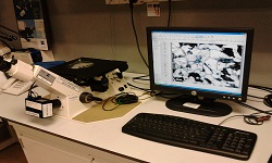 Material Microscopic Analysis
