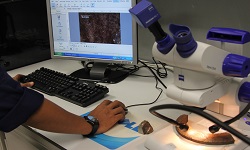 Material Microscopic Analysis2