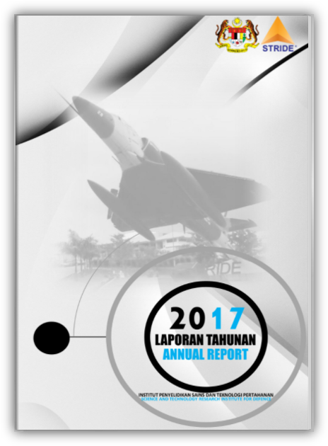 STRIDE Annual Report 2017